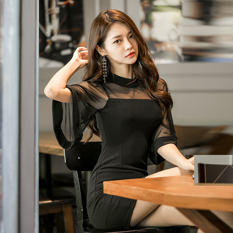 Horn Mesh Sleeve Base Dress