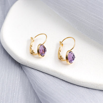 Jewelry Austrian Glass Crystal Earrings Women Ear Hook by Glamytek